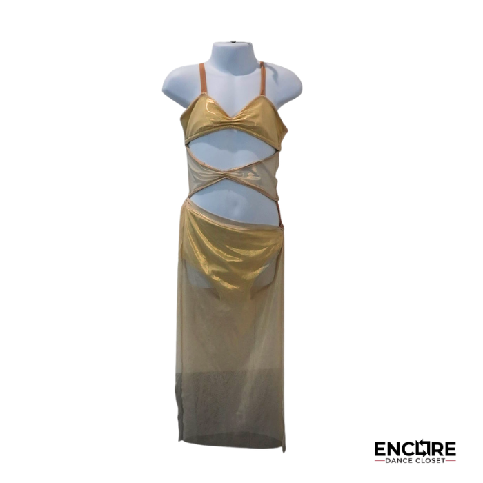 Gilded Whisper  dress