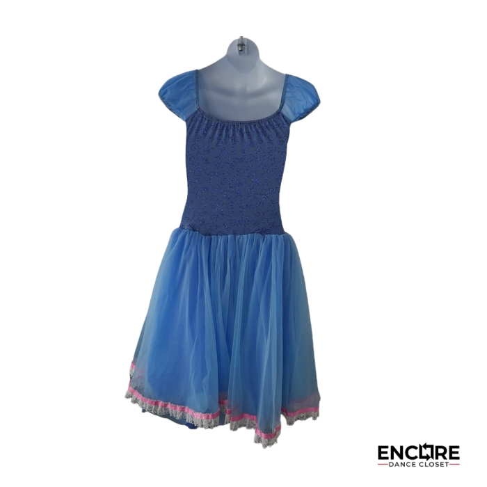 Storybook Princess Ballet Dress  dress