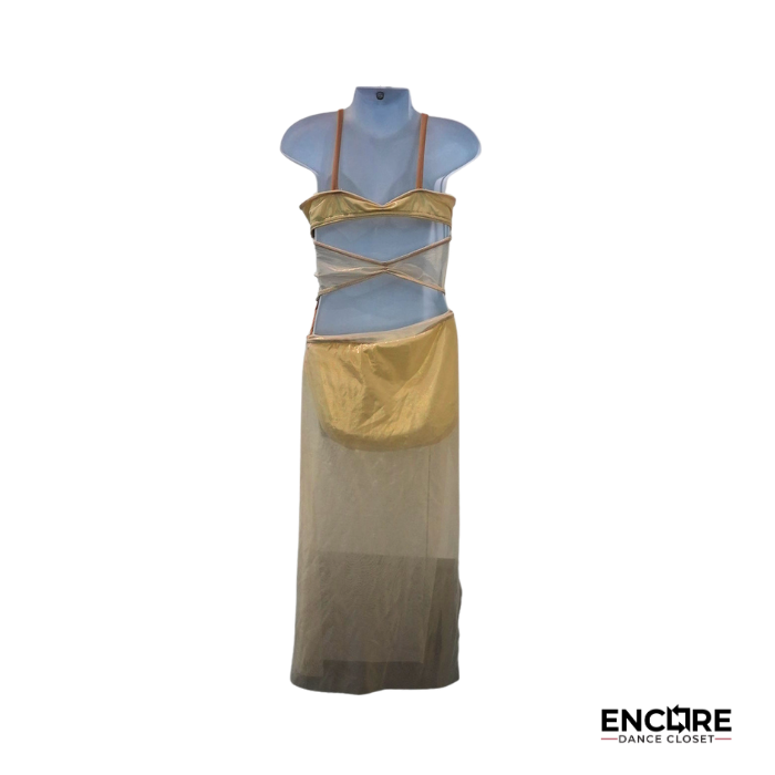 Gilded Whisper  dress