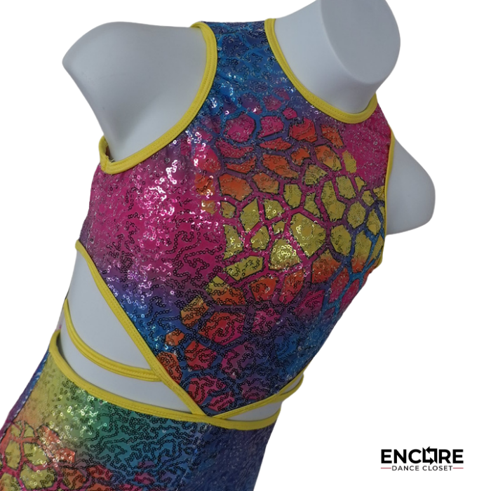 Multicolor Sequin Two-Piece with Feather Accents  biketard