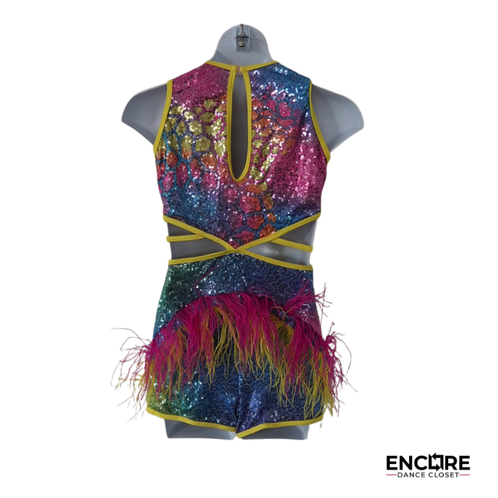Multicolor Sequin Two-Piece with Feather Accents  biketard