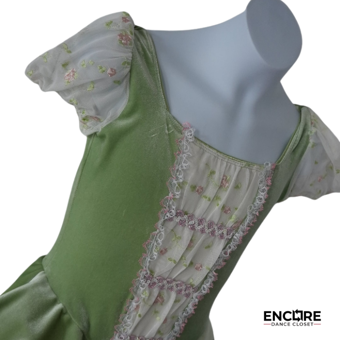 Green Ballet Dress with Blush Tulle Skirt and Lace Detail  dress