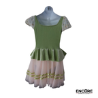 Green Ballet Dress with Blush Tulle Skirt and Lace Detail  dress