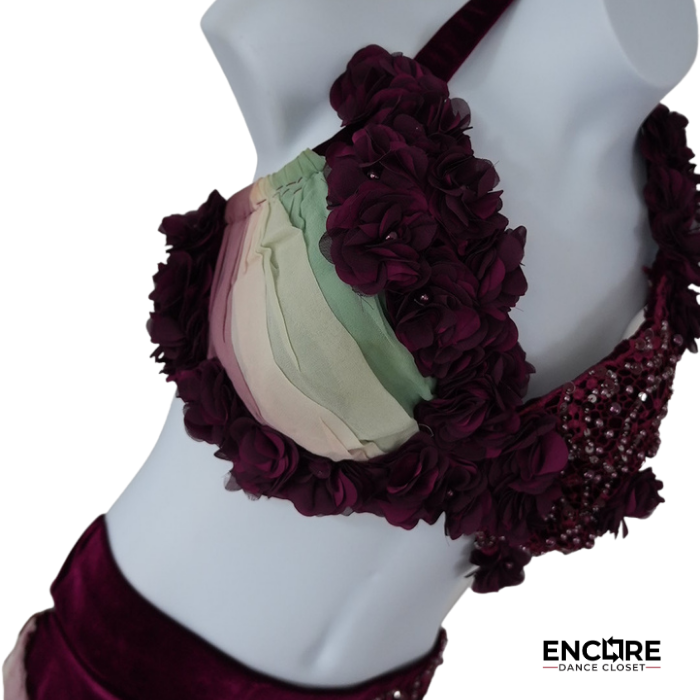 Wine Floral & Ombré Chiffon Dance Costume  two piece
