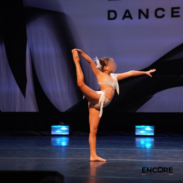 Lace Reverie  leotard