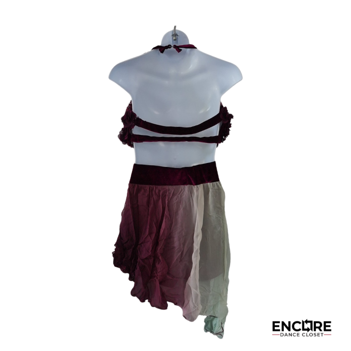Wine Floral & Ombré Chiffon Dance Costume  two piece