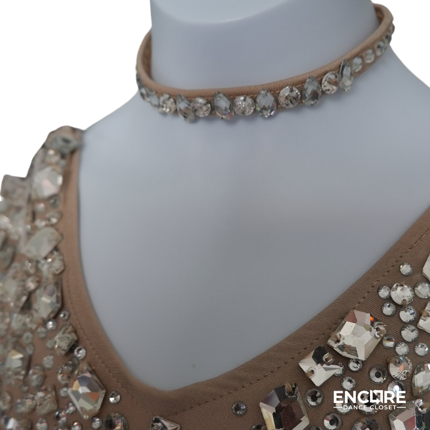 Sparkly Beige Leotard with Feathers - Encore Dance Closet