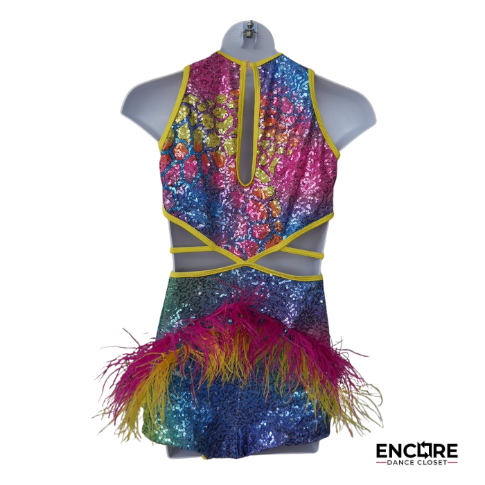 Rainbow Sequin Jazz Costume with Feathered Skirt  leotard