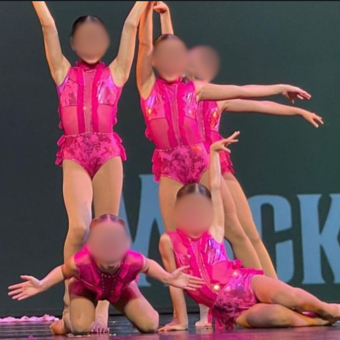 Playful Metallic Pink Leotard