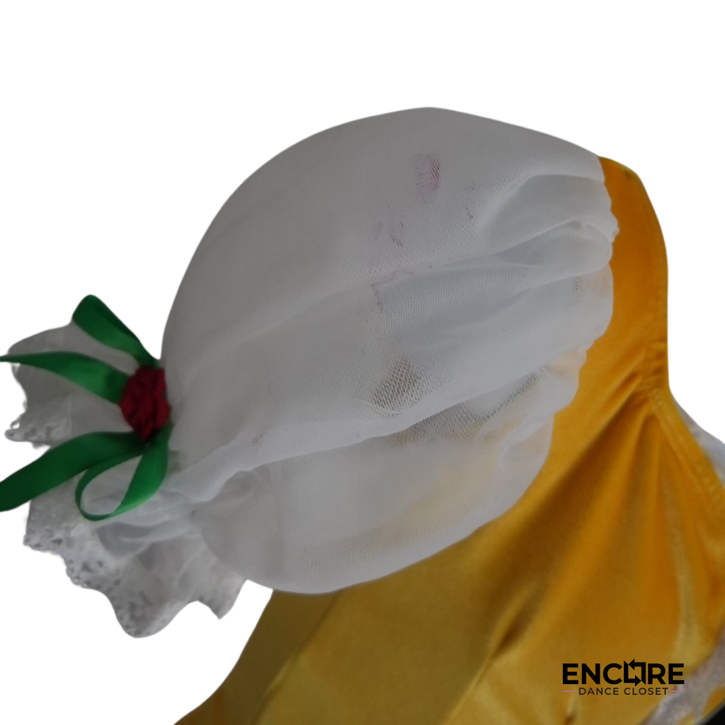 Festive Velvet Flair Dress