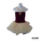 Burgundy Velvet Ballet Tutu  dress