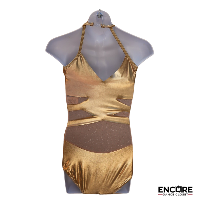 Gold Sparkle Leotard with Nude Mesh