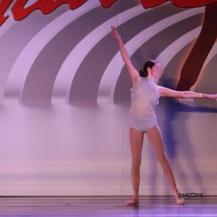 Asymmetrical Gray Mesh Leo  leotard
