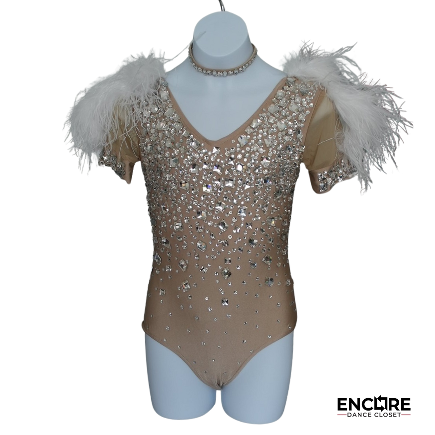 Sparkly Nude Leotard with Feathers