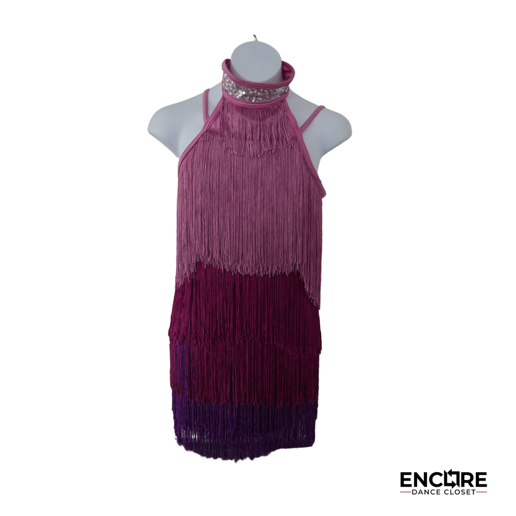 Pink Ombré Fringe Performance Dress  biketard