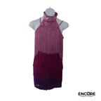 Pink Ombré Fringe Performance Dress  biketard