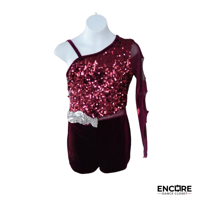 Burgundy Sequin Asymmetrical Contemporary Biketard with Mesh Sleeve  biketard
