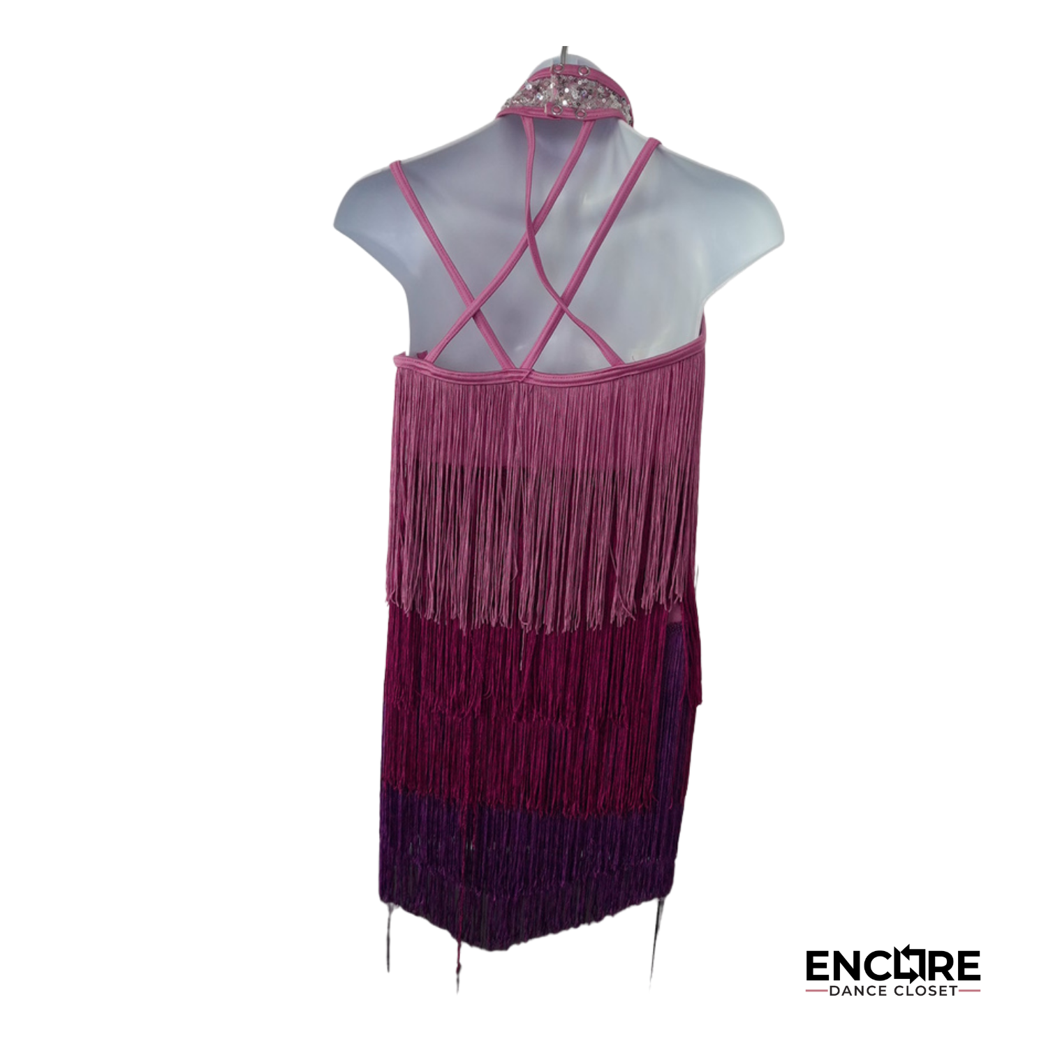 Pink Ombré Fringe Performance Dress  biketard