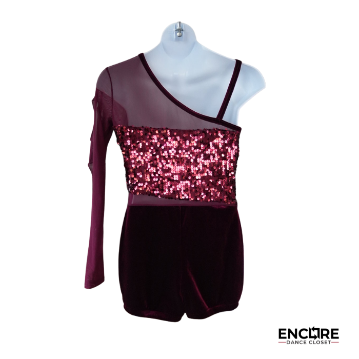 Burgundy Sequin Asymmetrical Contemporary Biketard with Mesh Sleeve  biketard