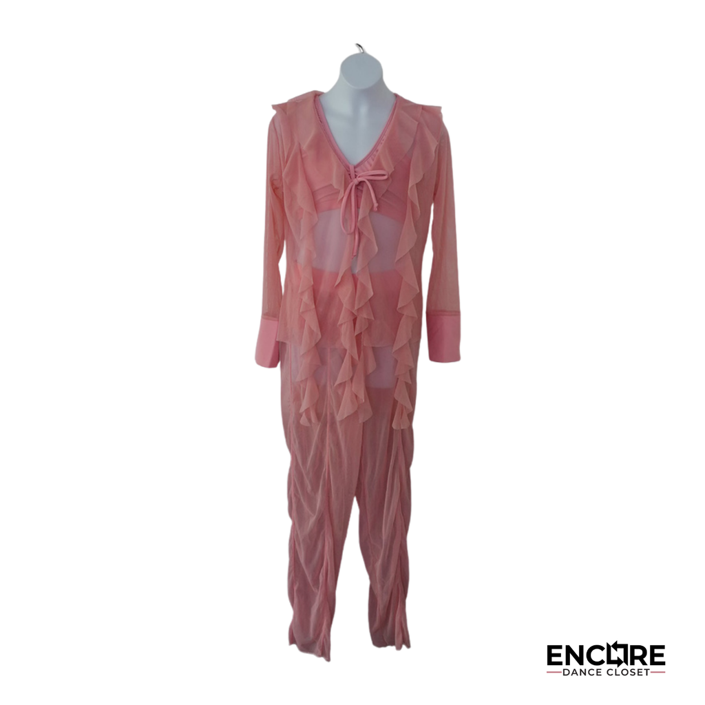 Soft Pink Sheer Ruffle Unitard Costume  two piece