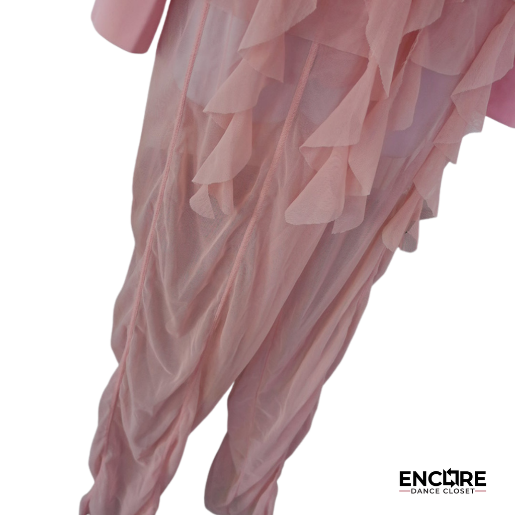 Soft Pink Sheer Ruffle Unitard Costume  two piece