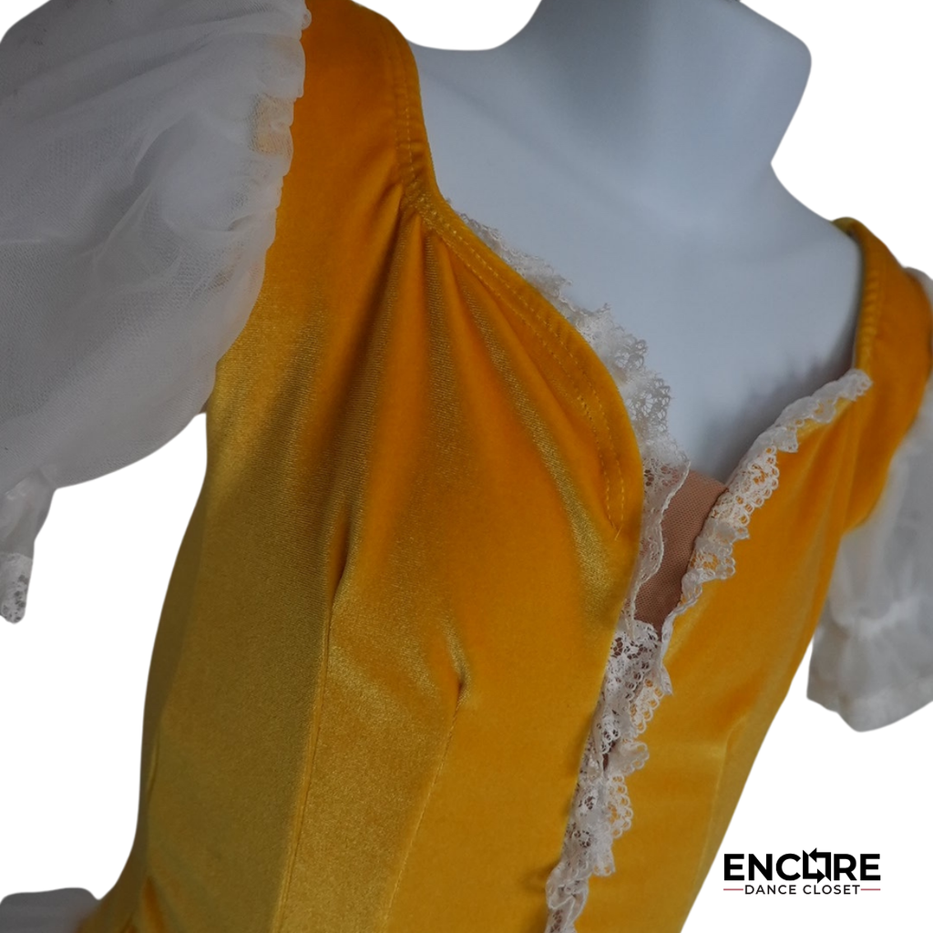 Festive Velvet Flair Dress