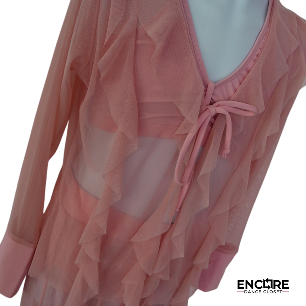 Soft Pink Sheer Ruffle Unitard Costume  two piece