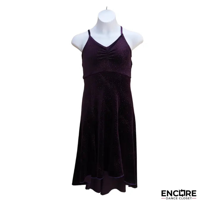 Velvet Starlight Dress  dress