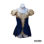 Blue Velvet Ballet Dress  leotard