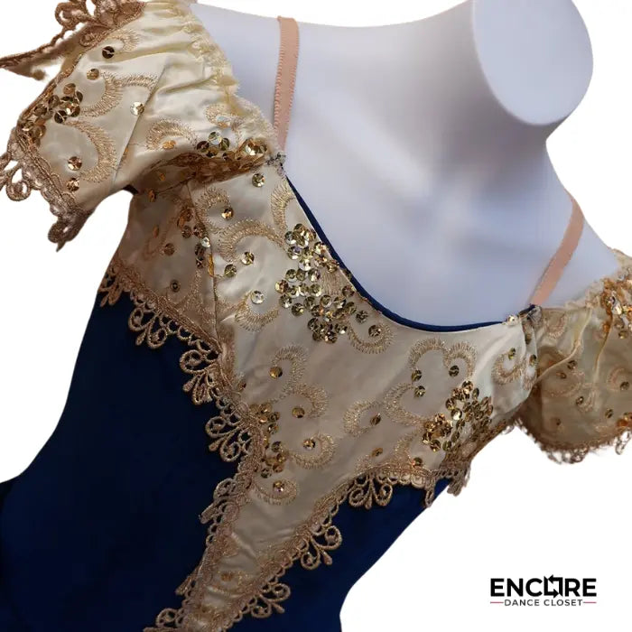 Blue Velvet Ballet Dress  leotard