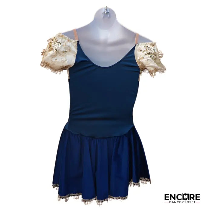 Blue Velvet Ballet Dress  leotard