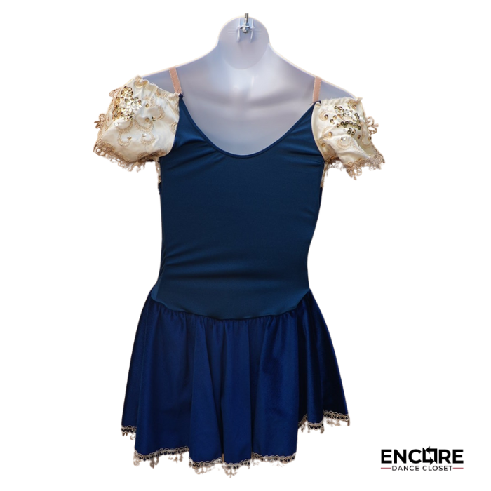 Blue Velvet Ballet Dress