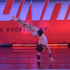 Tribal Woods-Themed Costume with Feathers  leotard