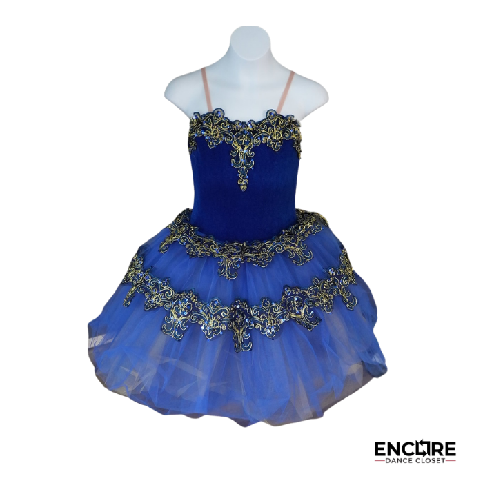 Aristocrat Nobility  dress