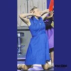 Royal Blue Character Dress Costume  dress