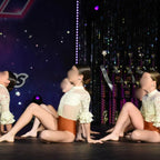 Elegant Leotard  leotard
