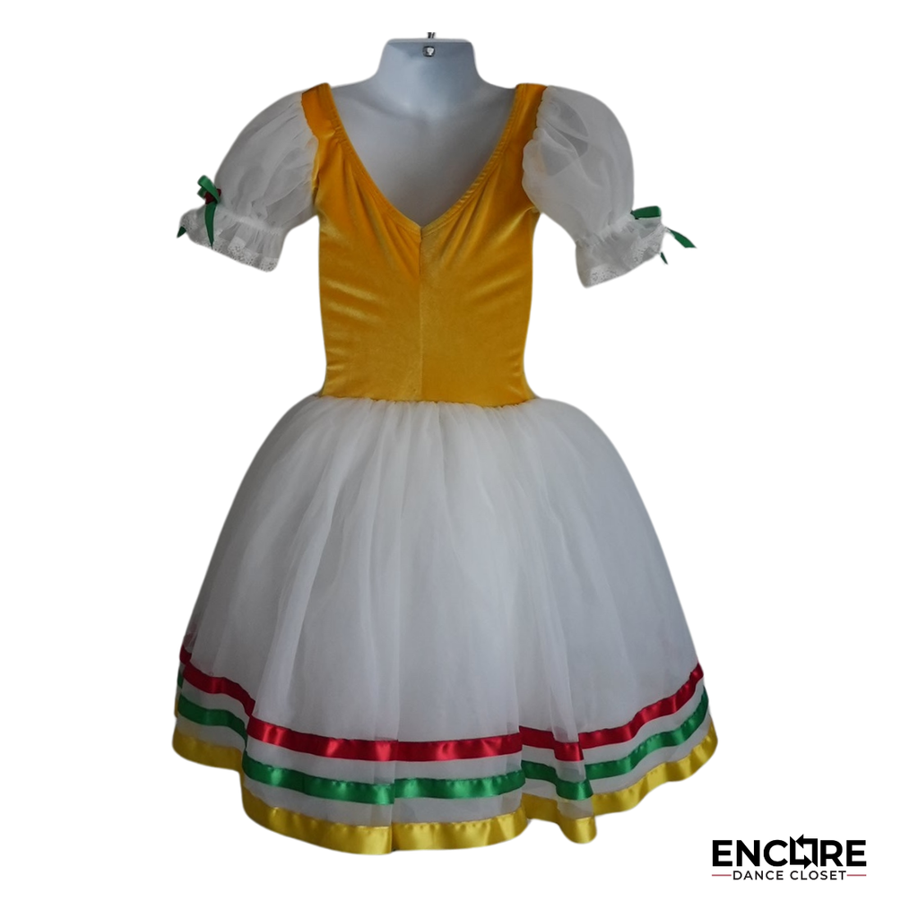 Festive Velvet Flair Dress