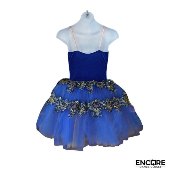 Aristocrat Nobility  dress