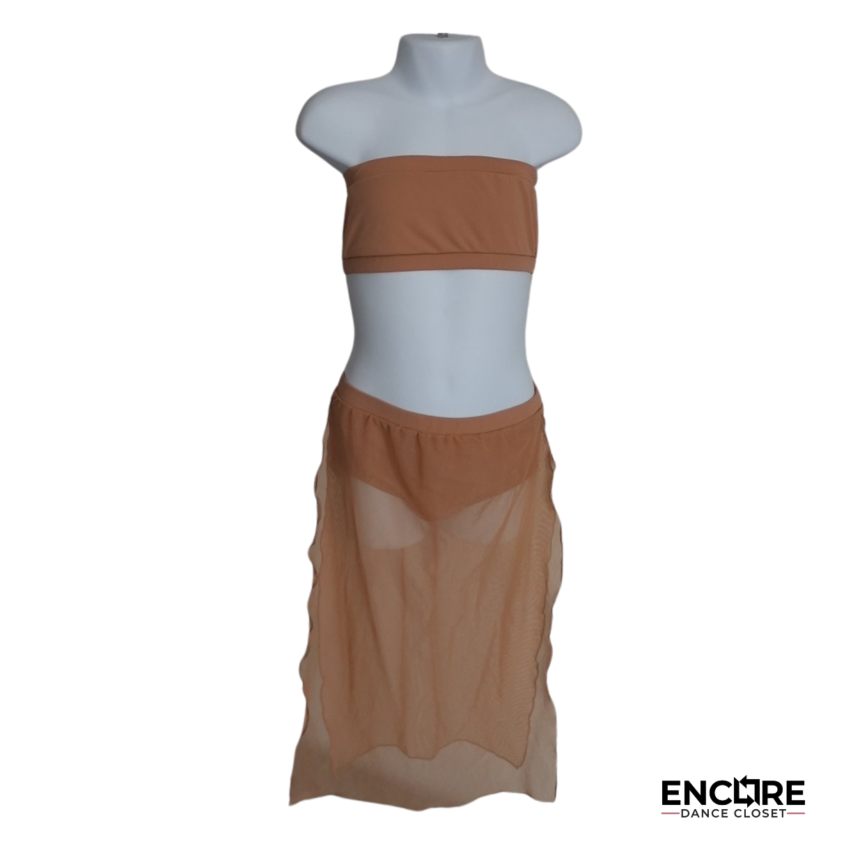Graceful Two-Piece Nude Mesh Skirt Costume - Encore Dance Closet