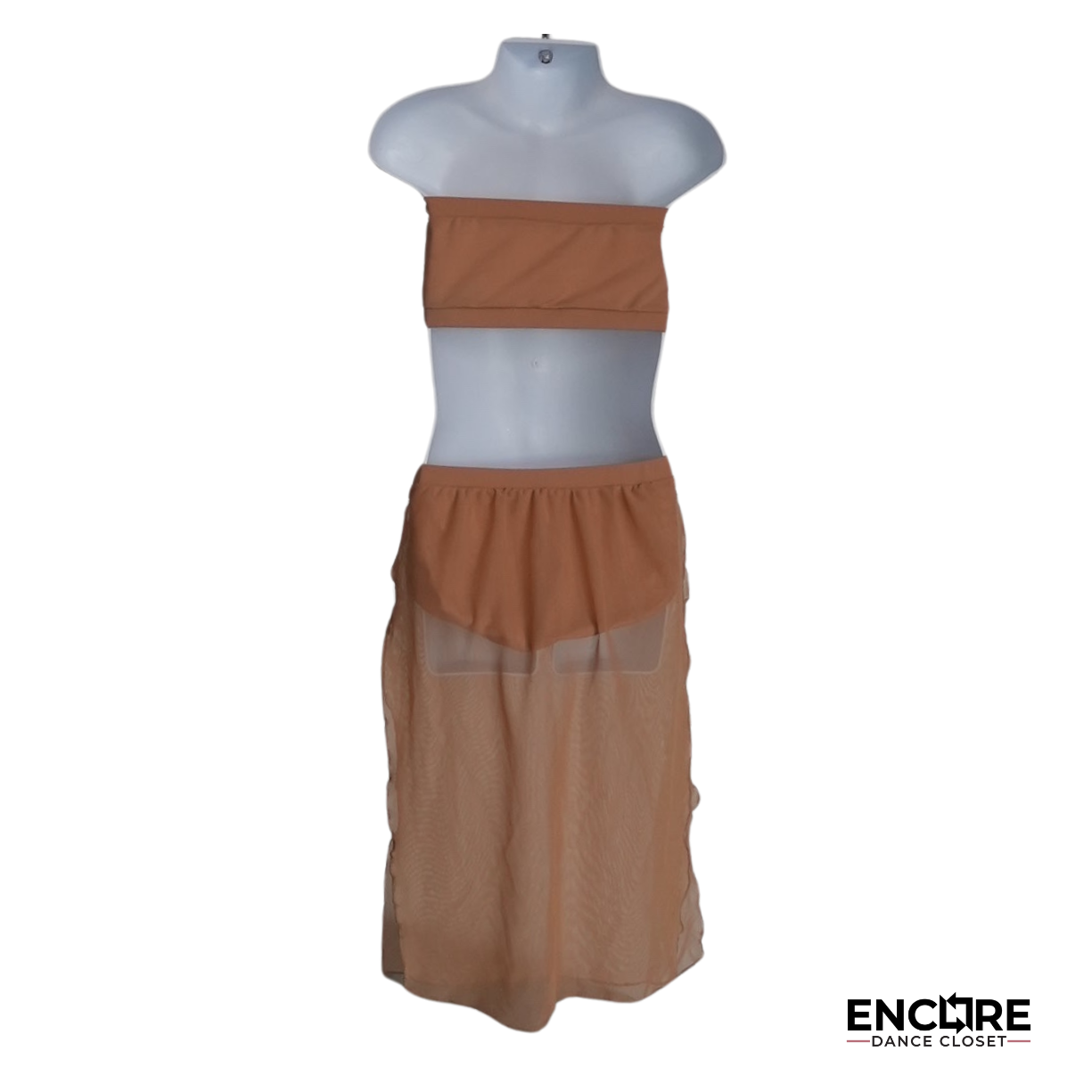 Graceful Two-Piece Nude Mesh Skirt Costume - Encore Dance Closet