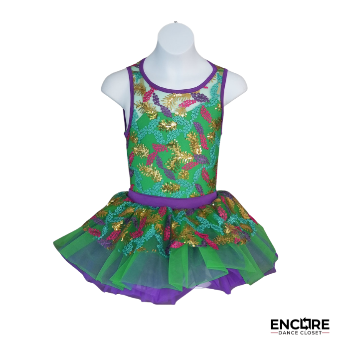 Chasint Rainbows  dress