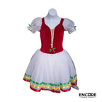 Festive Velvet Flair  dress