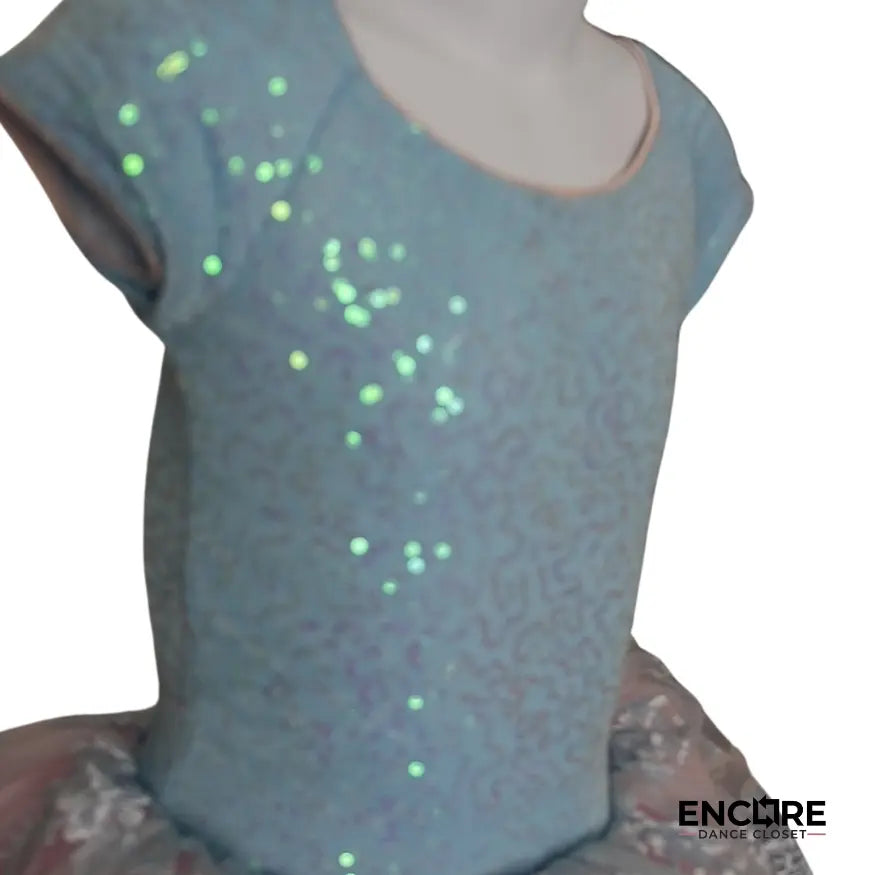 Baby Blue Sequined Leotard & Tutu  dress