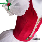 Festive Velvet Flair  dress