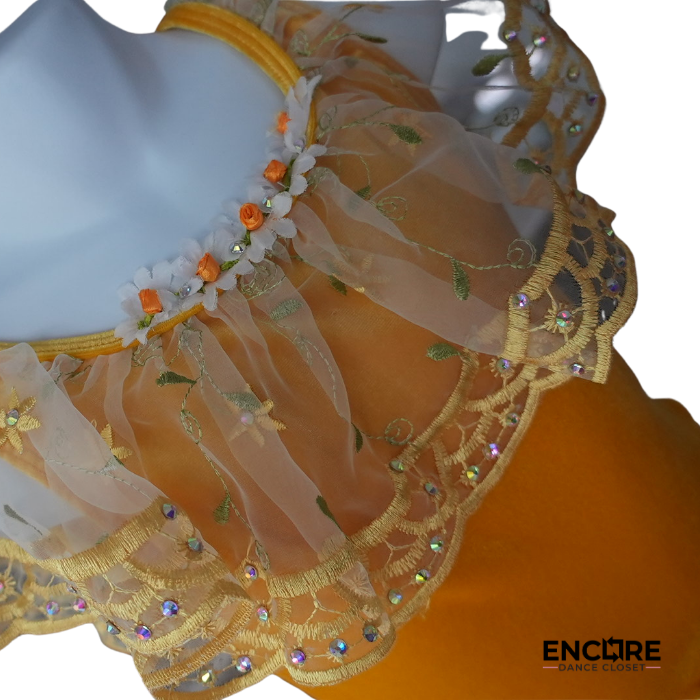 Yellow Ballet Costume with Embroidered Tulle Skirt  dress