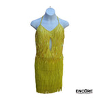 Fringe Fever Dress  dress