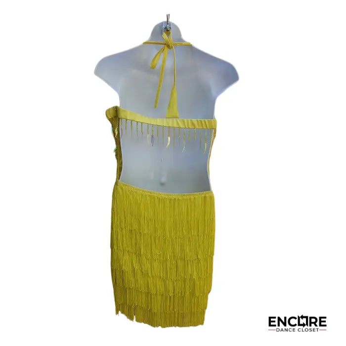 Fringe Fever Dress  dress