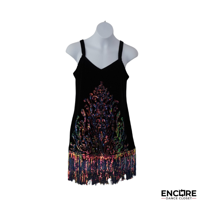 Rainbow Sequin Fringe Jazz Dress  dress