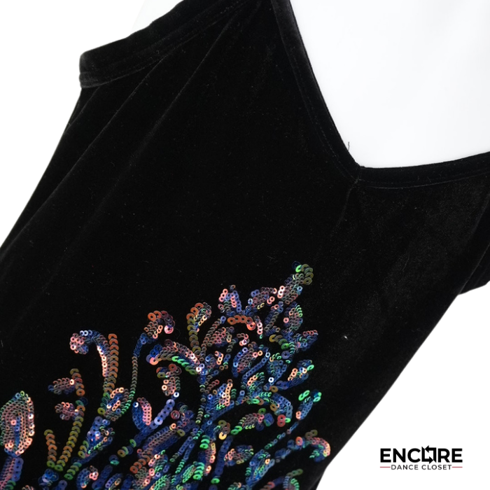 Rainbow Sequin Fringe Jazz Dress  dress