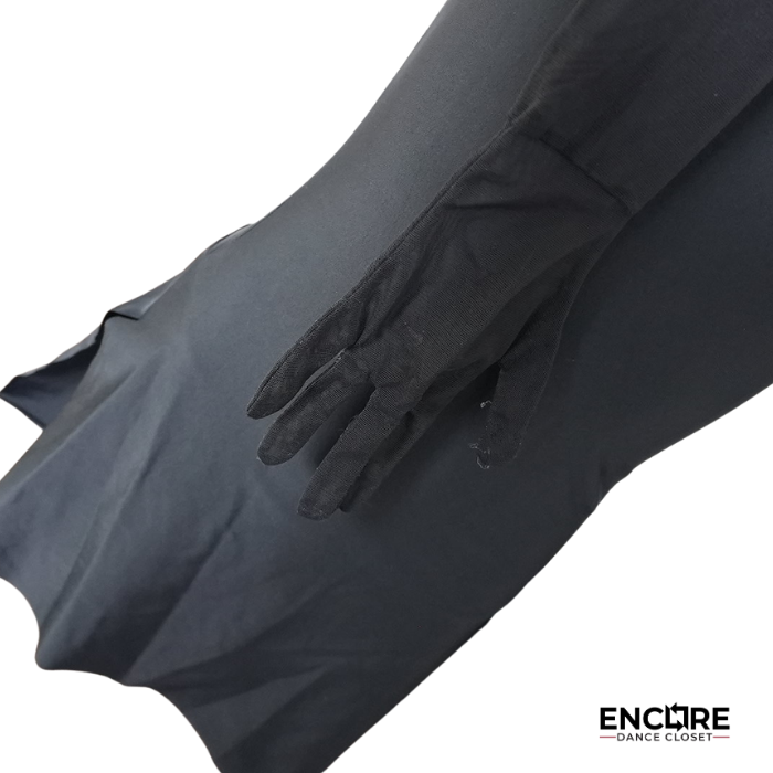 Black Mesh & Rhinestone Long Sleeve Costume